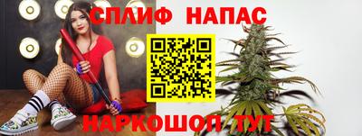 прущие грибы Ливны
